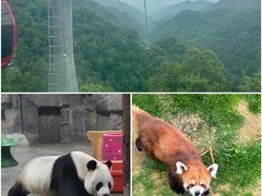 -栾川竹海野生动物园