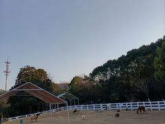 -白马涧龙池景区