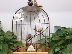 -猫的天空之城概念书店(印象城购物中心店)