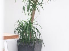 大堂-怪 kafe.