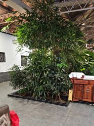 点击看大图 -特味村·宴会厅(生态园店)