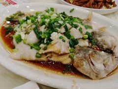 -粤·向群饭店(龙津东路总店)