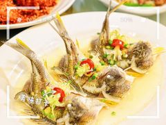 -有腥气私房菜·寻味顺德