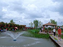 -同銮特种养殖场·龙虾垂钓