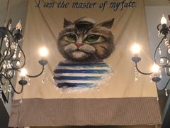 -猫咪博物馆(顶澳仔猫街店)