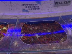 -澜悦港海鲜体验主题餐厅