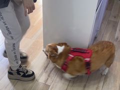 -拜鲁耶动物诊疗中心·宠家动物医院