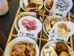 -菌自由丨野生菌火锅特色庭院餐厅(丽江古城店)