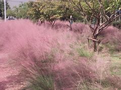-剪刀石头布家居广场