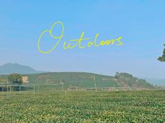 -龙坞茶村