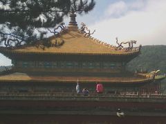 -大亚国际旅行社(鼓楼店)
