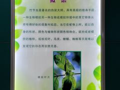 -上海昆虫博物馆