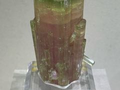 -安徽省地质博物馆