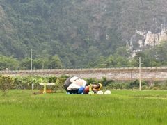 -明仕田园