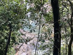 -广州白江湖森林公园