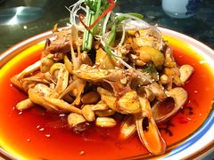 凉拌鸡-青城甲(青城山店)