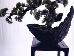 -滇铺子(欣都龙城店)