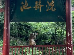 -黔灵山公园