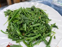 丝瓜尖-瑞丰园庭院餐厅·白族传统家常菜