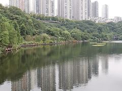 -重庆彩云湖湿地公园