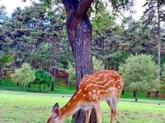 -承德避暑山庄景区