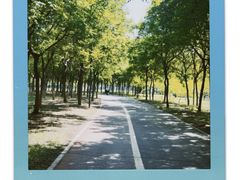 -马家湾湿地公园