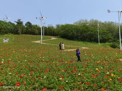 -沈阳植物园