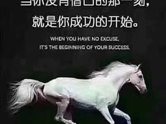 -上海西上海奥杰奥迪汽车销售有限公司(真如店)