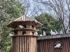 -上海野生动物园