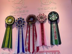 -爪爪喵星球·猫舍(前海卓越店)