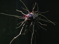 -成都许燎源现代设计艺术博物馆