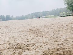 -东郊湿地公园