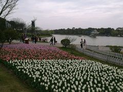 -上海鲜花港