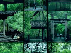-云栖竹径