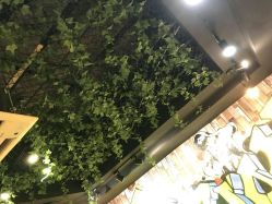 点击看大图 -藤野造型·专业烫染店