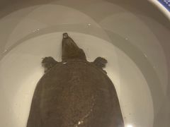 -常株潭·湖南家宴·团建宴会厅(西乡店)