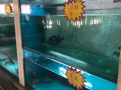 -亚丁湾海鲜大酒店(万泉嘉苑店)