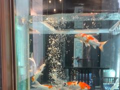 -浩运海鲜·16年专注青岛菜(石老人店)