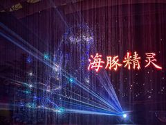 -海合安武汉极地海洋公园