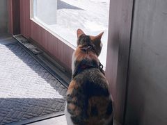 -Again Coffee Roaster(香蜜湖店)