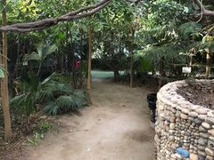 -呀路古热带植物园