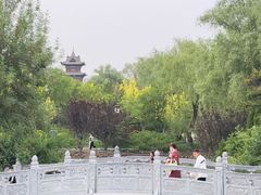 -迎泽公园