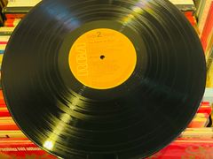 -树懒黑胶唱片店(中山路店)