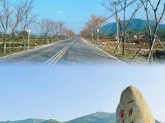 -白茶原·一片叶子