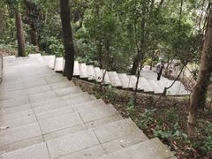 -火炉山森林公园