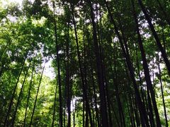 -宝岩生态观光园