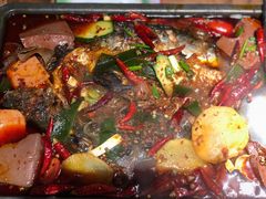 毛血旺烤鱼-探鱼·鲜青椒爽麻烤鱼(领展购物广场店)