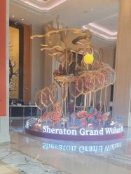 -武汉汉口喜来登大酒店·宴会厅