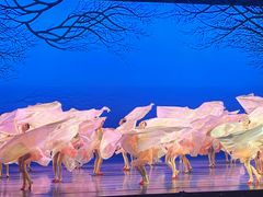 -交通银行前滩31演艺中心