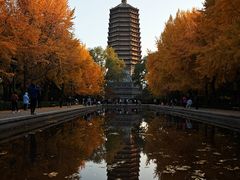 -玲珑塔公园